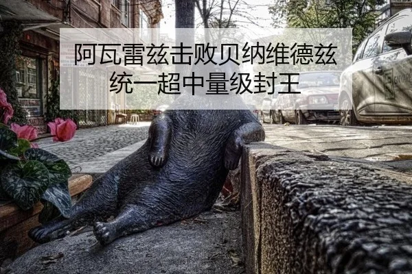 a-wa-lei-zi-ji-bai-bei-na-wei-de-zi-tong-yi-chao-zhong-liang-ji-feng-wang-3-136.jpg